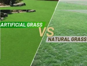 Artificial Turf vs Natural Grass