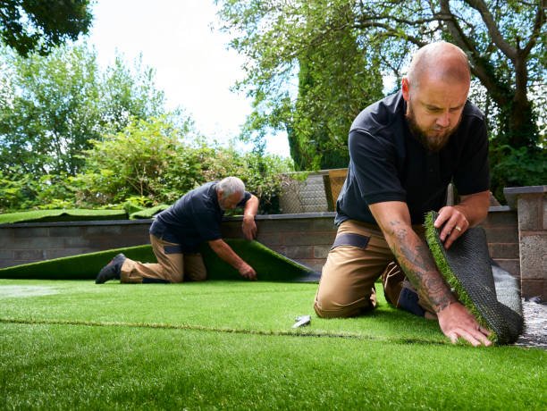 Artificial Turf vs Natural Grass